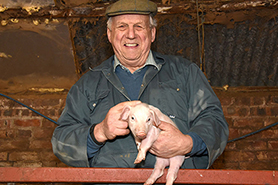 Welsh pig, me and my pig