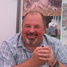 Berkshire pig
