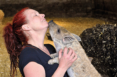Mangalitza pig - Magic Mangas!
